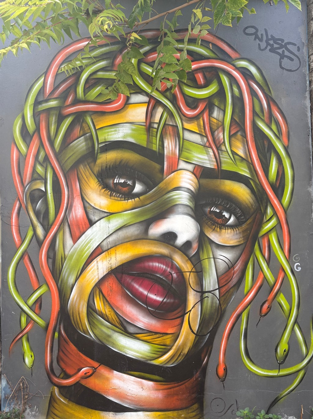 Athens: Birthplace of Democracy or the Epitome of&nbsp;Chaos?